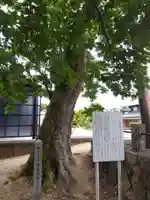 金山彦神社(福井県)