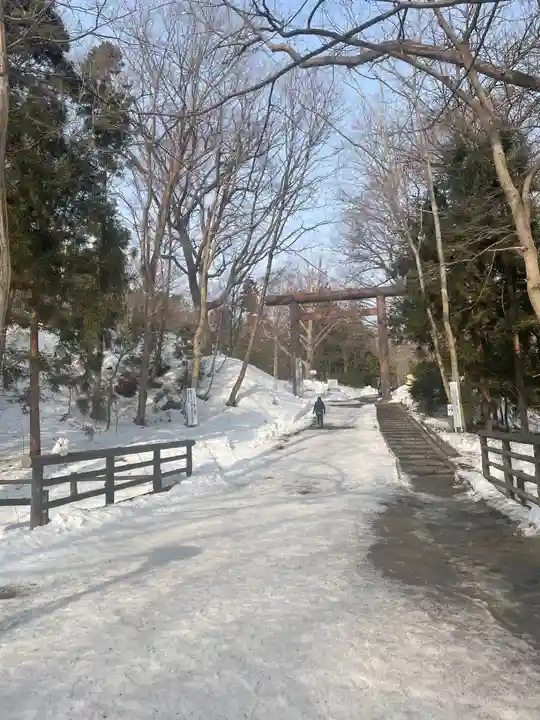 北海道神宮の鳥居