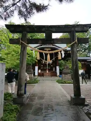 行田八幡神社の{uncategorized: "未分類", other: "その他", undefined: "問題あり", building: "その他建物", grave: "お墓", sacred_gate: "鳥居", guardian: "狛犬", statue: "像", buddha: "仏像", history: "歴史", nature: "自然", garden: "庭園", animal: "動物", pagoda: "塔", temizu: "手水舎", mountain_gate: "山門・神門", sanctuary: "本殿・本堂", subordinate: "末社・摂社", art: "芸術", scenery: "景色", jizo: "地蔵", ema: "絵馬", goshuin: "御朱印", omikuji: "おみくじ", items: "授与品その他", amulet: "お守り", goshuincho: "御朱印帳", eats: "食事", festival: "お祭り", votive_dance: "神楽", shichigosan: "七五三参", wedding: "結婚式", experience: "体験その他", initially: "初詣", around: "周辺", anti_infection: "感染症対策"}