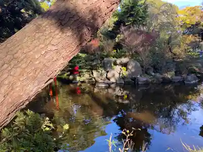 平塚八幡宮(神奈川県)