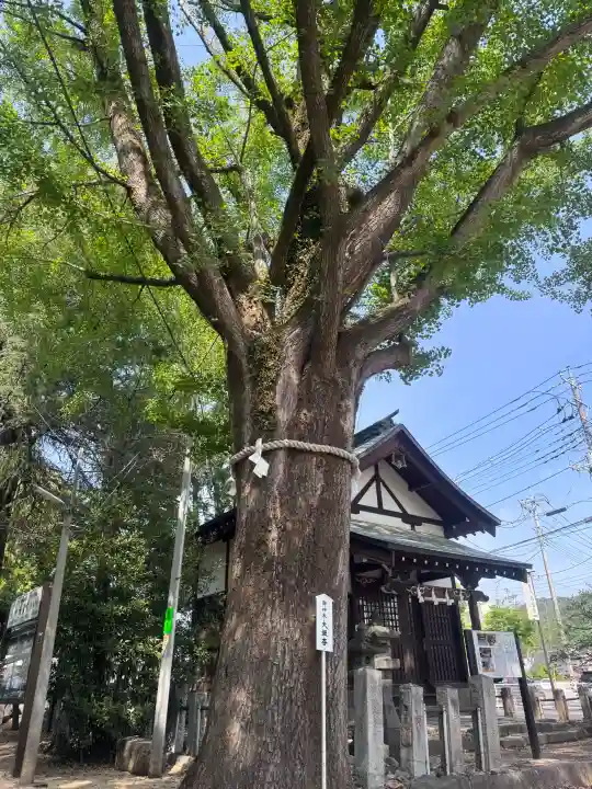 桐生天満宮の{uncategorized: "未分類", other: "その他", undefined: "問題あり", building: "その他建物", grave: "お墓", sacred_gate: "鳥居", guardian: "狛犬", statue: "像", buddha: "仏像", history: "歴史", nature: "自然", garden: "庭園", animal: "動物", pagoda: "塔", temizu: "手水舎", mountain_gate: "山門・神門", sanctuary: "本殿・本堂", subordinate: "末社・摂社", art: "芸術", scenery: "景色", jizo: "地蔵", ema: "絵馬", goshuin: "御朱印", omikuji: "おみくじ", items: "授与品その他", amulet: "お守り", goshuincho: "御朱印帳", eats: "食事", festival: "お祭り", votive_dance: "神楽", shichigosan: "七五三参", wedding: "結婚式", experience: "体験その他", initially: "初詣", around: "周辺", anti_infection: "感染症対策"}