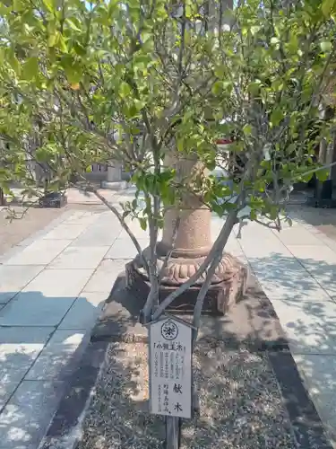阿部野神社(大阪府)
