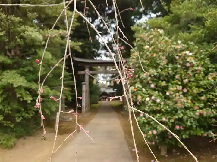 成田熊野神社のその他建物