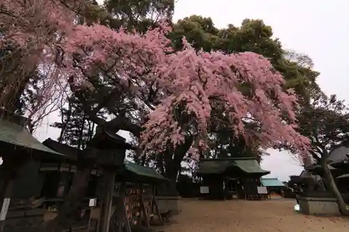 三島八幡神社の庭園