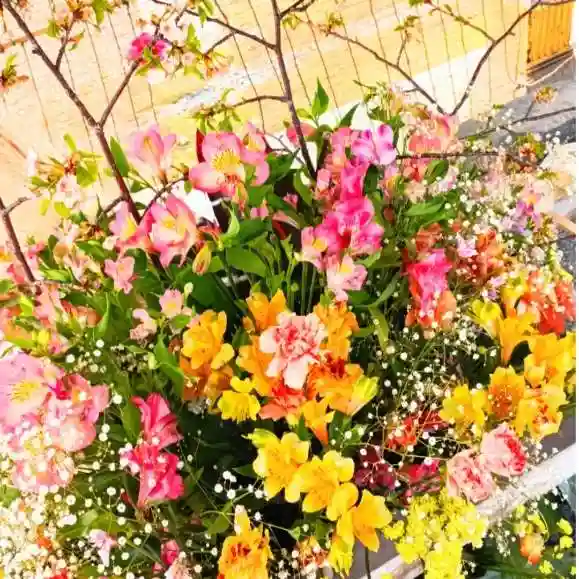 彌彦神社 (伊夜日子神社)の手水舎