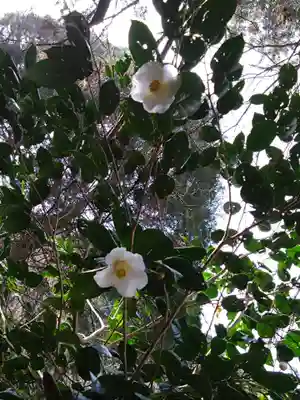 幣立神宮(熊本県)