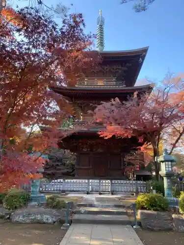 豪徳寺(東京都)