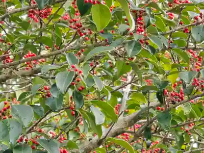 吉田寺(奈良県)