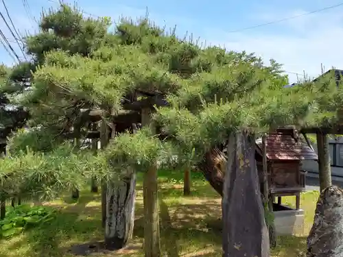 浄珠院(岩手県)