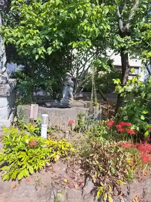 臨済寺(大分県)