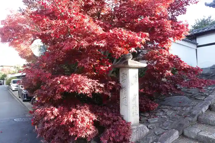 光明院(光明禅院)(京都府)