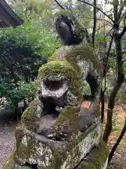 大野湊神社の狛犬