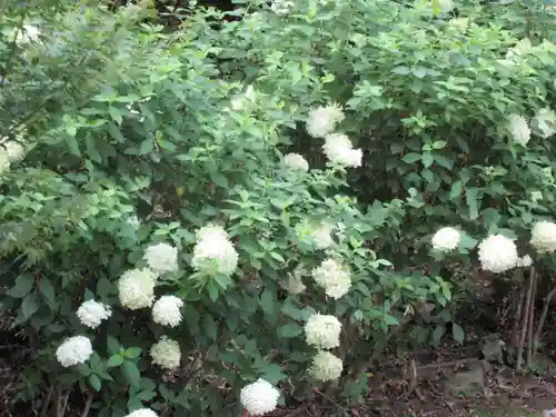 播州清水寺の自然