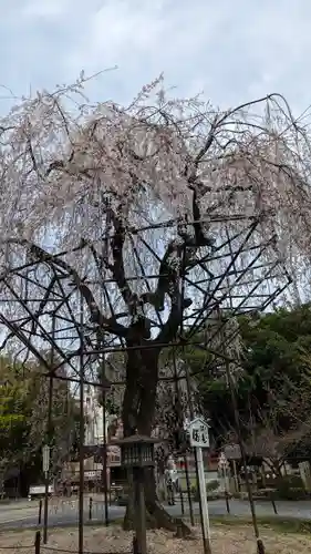 大報恩寺（千本釈迦堂）(京都府)