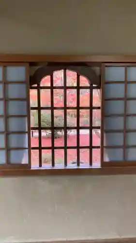 圓光寺(京都府)