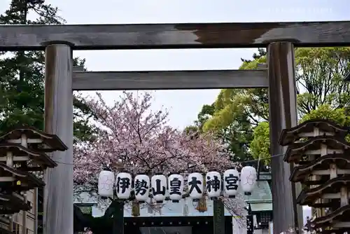 伊勢山皇大神宮の鳥居