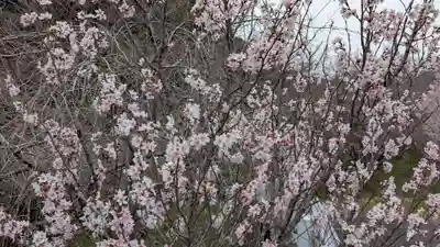 道祖神の自然