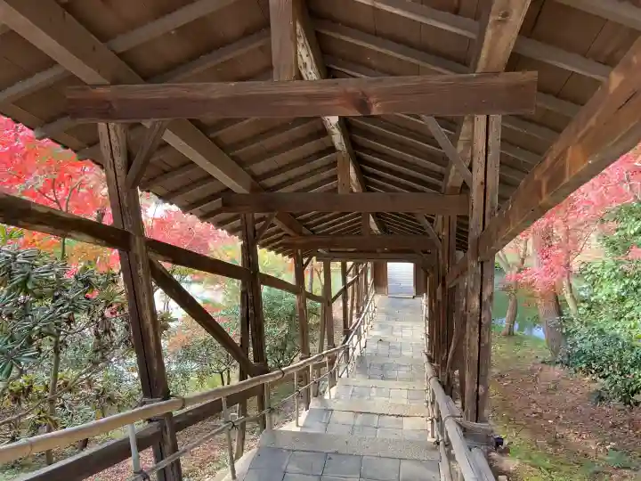 高台寺(高台寿聖禅寺・高臺寺)(京都府)