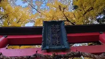 岩戸落葉神社の鳥居