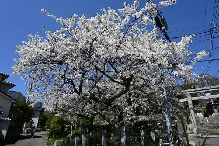大宝寺(愛媛県)