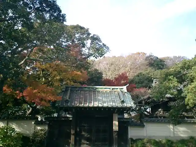 英勝寺の山門・神門