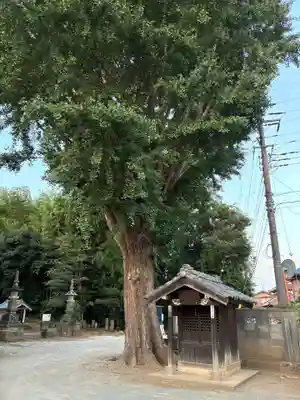 東光寺(千葉県)