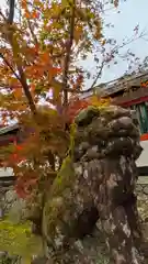 鍬山神社(京都府)