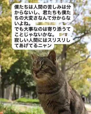 専念寺(大阪府)