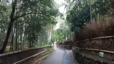 野宮神社の周辺