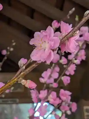 赤坂氷川神社(東京都)