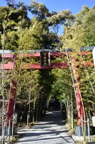 來宮神社の鳥居