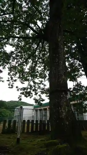 高雄神社の自然