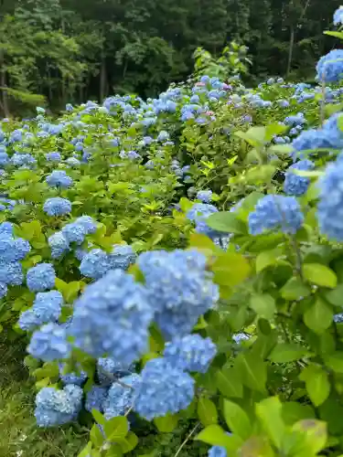 陽林寺(福島県)