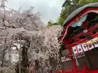 小川諏訪神社の自然