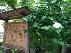 紅葉八幡宮(福岡県)