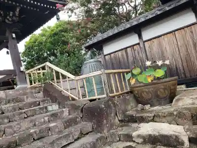 妙蓮寺のその他建物