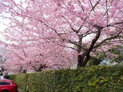 米之宮浅間神社(静岡県)