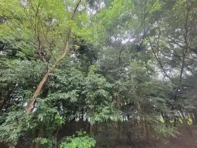 森正八幡神社(愛媛県)