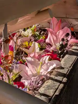 鳩森八幡神社の手水舎