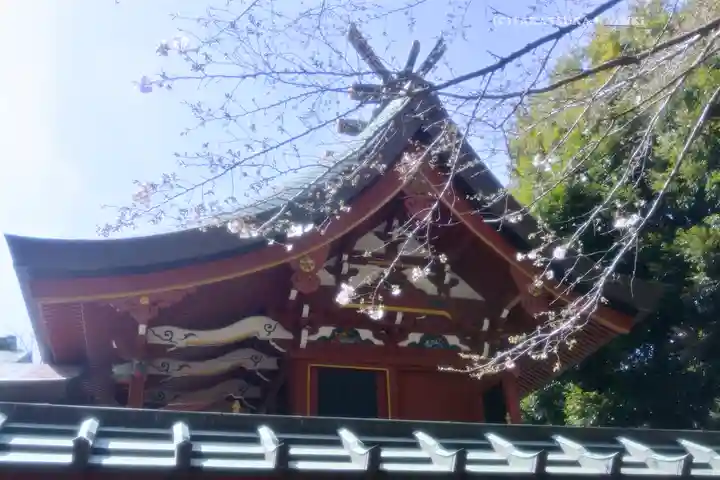峯ヶ岡八幡神社(埼玉県)