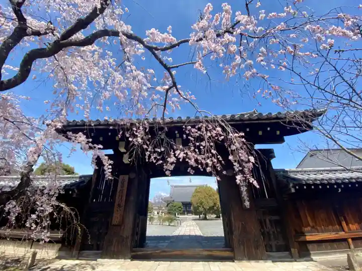 妙覺寺(妙覚寺)の山門・神門