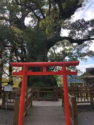 蒲生八幡神社の自然