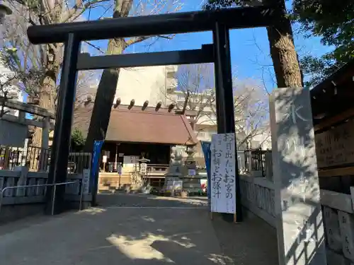高円寺氷川神社の鳥居