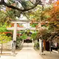 彌彦神社 (伊夜日子神社)の鳥居