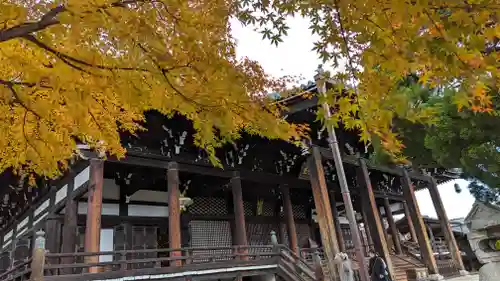 妙顯寺（妙顕寺）(京都府)