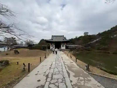 高台寺(高台寿聖禅寺・高臺寺)(京都府)