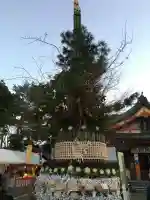 紅葉八幡宮(福岡県)