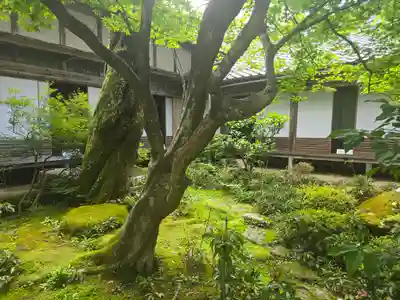 喜見院(滋賀県)