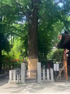 田無神社(東京都)