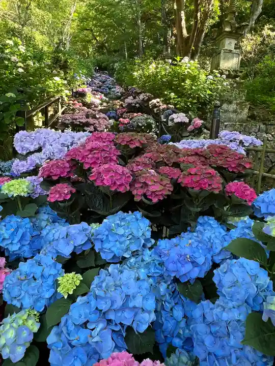 長谷寺(奈良県)